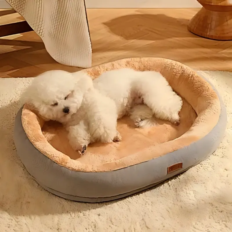 Small white dog sleeping in a cozy beige plush pet bed.